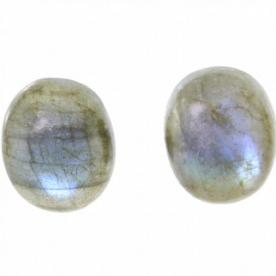 Sterling Silver Labradorite Earrings E-18-04