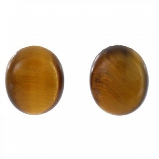 Sterling Silver Tiger's Eye Earrings E-18-04