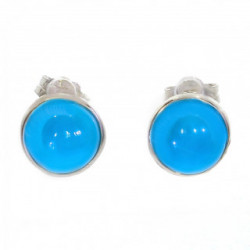Sterling Silver Turquoise Earrings E-22-01