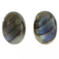 Sterling Silver Labradorite Earrings E-22-04