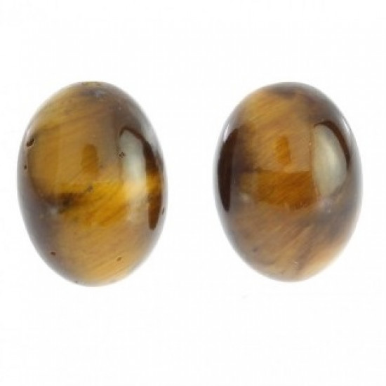 Sterling Silver Tiger's Eye Earrings E-22-04