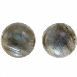 Sterling Silver Labradorite Earrings E-22-05