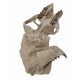 Merycoidodon culbertsoni (skull)