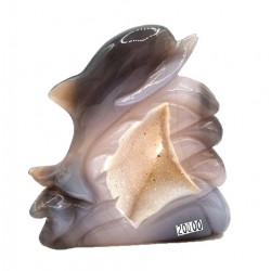 dolphin agate