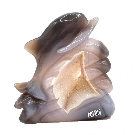 dolphin agate