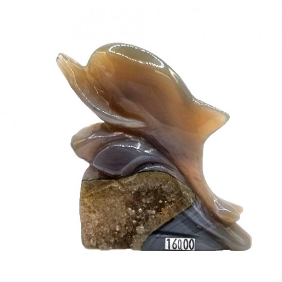 dolphin agate
