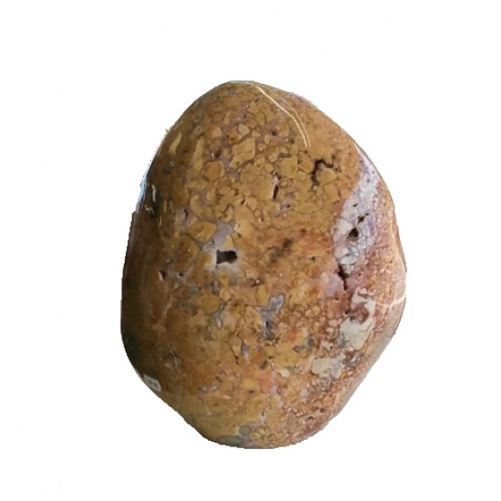 Agatized Jasper Free Form