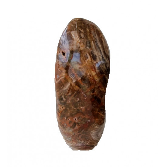 Petrified Wood Free Form