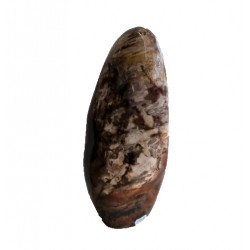 Petrified Wood Free Form