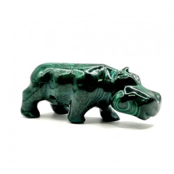 hippopotamus malachite