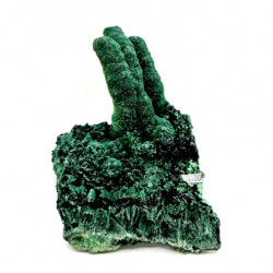 Malachite primaire stalactite