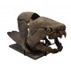 dunkleosteus marsaisi