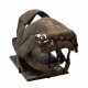 dunkleosteus marsaisi