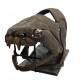 dunkleosteus marsaisi