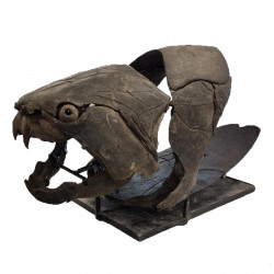 dunkleosteus marsaisi