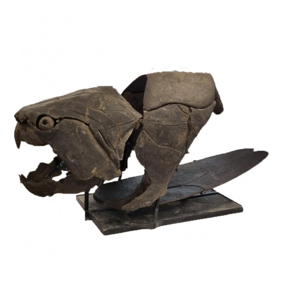 dunkleosteus marsaisi