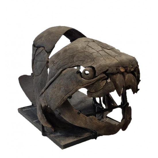 dunkleosteus marsaisi