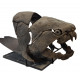 dunkleosteus marsaisi