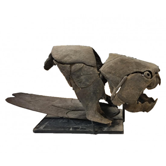dunkleosteus marsaisi