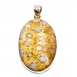 pendant coral petoskey stone silver