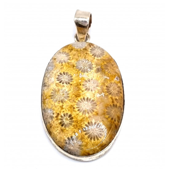 pendant coral petoskey stone silver