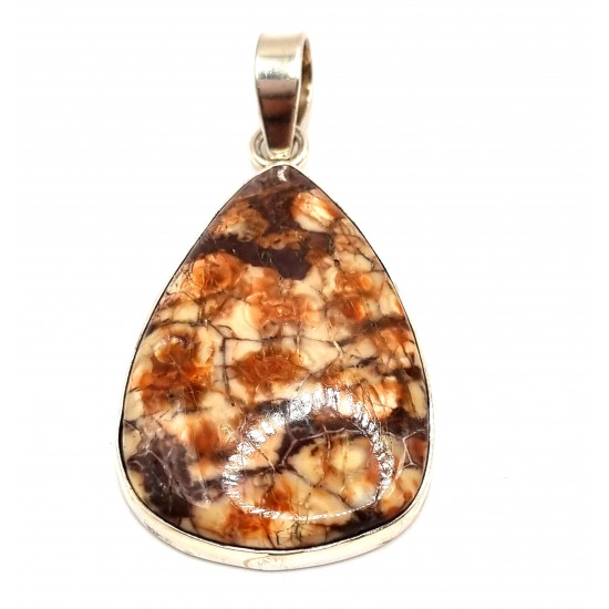 pendant bird eyes jasper silver