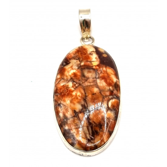 pendant bird eyes jasper silver