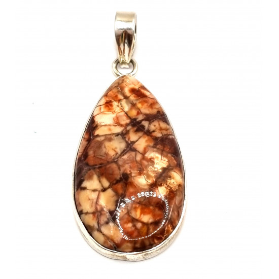 pendant bird eyes jasper silver