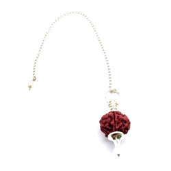 pendulum 5 mukhi rudraksha