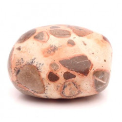 tumbled stone leopardite jasper