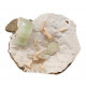 green apophyllite on stilbite and morderite