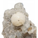Goosecreekite on stilbite and chalcedony