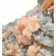 apophyllite and stilbite on chalcedony