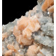 apophyllite and stilbite on chalcedony