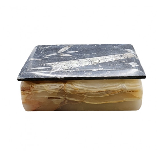 onyx and orthoceras box