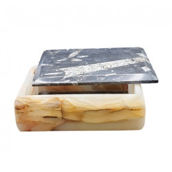 onyx and orthoceras box