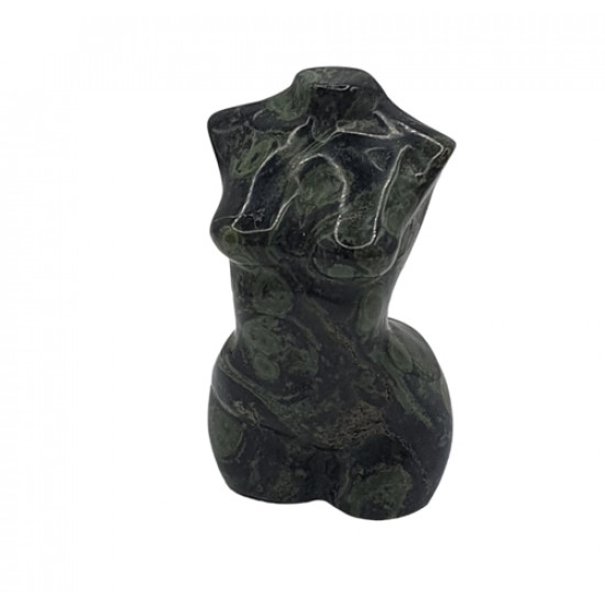 venus kambaba jasper