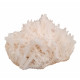 Scolecite