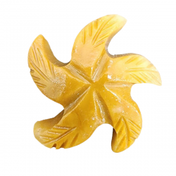 etoile de mer en steatite