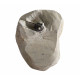 otarion difractus otarion difractus