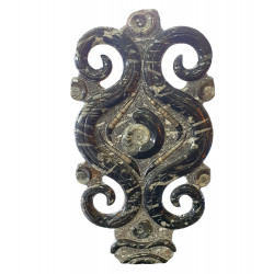orthoceras et goniatite sculpture