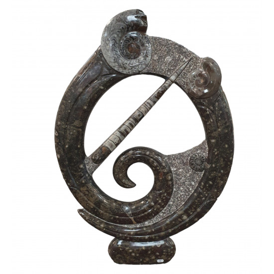 orthoceras and goniatite round sculptur