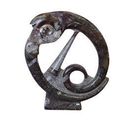 orthoceras et goniatite sculpture ronde