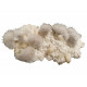 Mesolite, stilbite, apophyllite, morderite