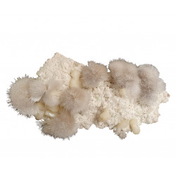 Mesolite, stilbite, apophyllite, morderite