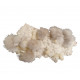 Mesolite, stilbite, apophyllite, morderite