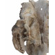 Merycoidodon culbertsoni (double skull)