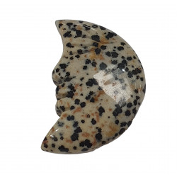 moon dalmatian jasper