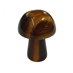 champignon oeil de tigre