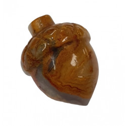 nuts crazy lace agate